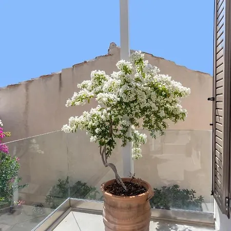 Casa Sofia Apt#2, By Hellocrete *